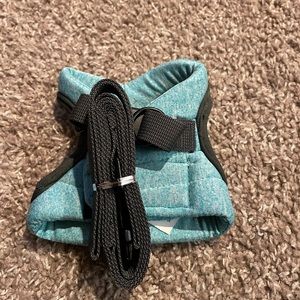 Small turquoise harness and leash